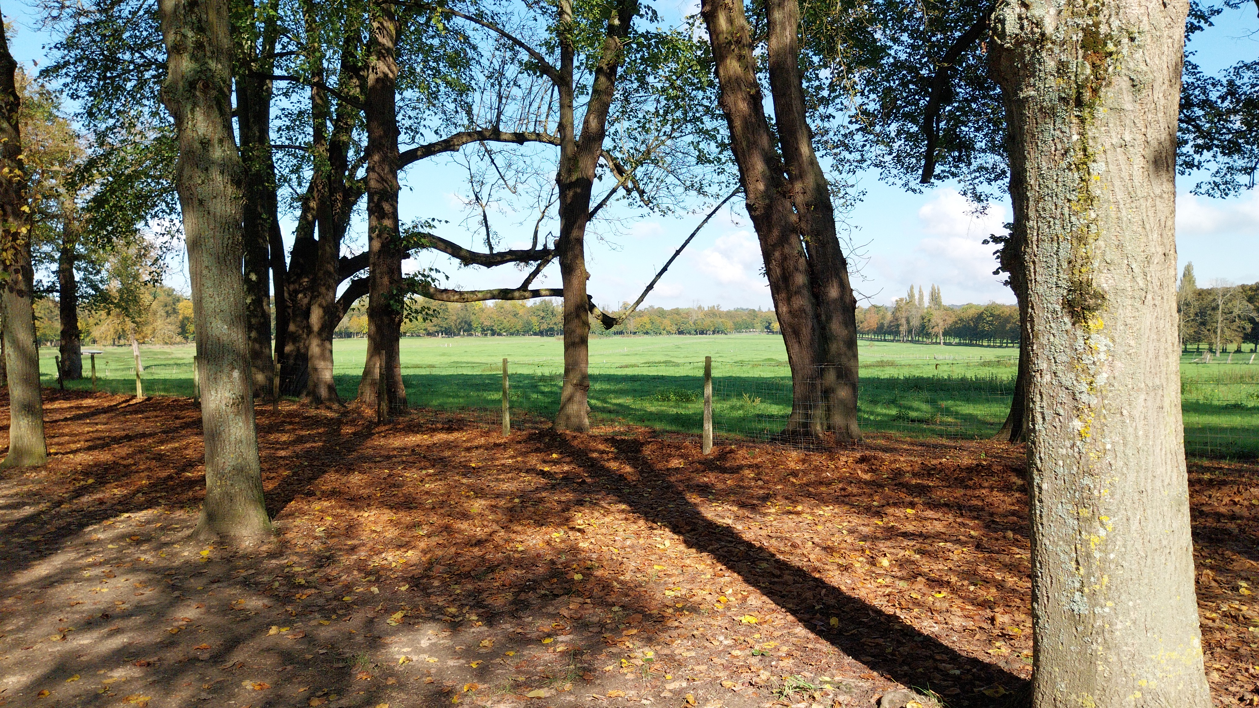 Paysages